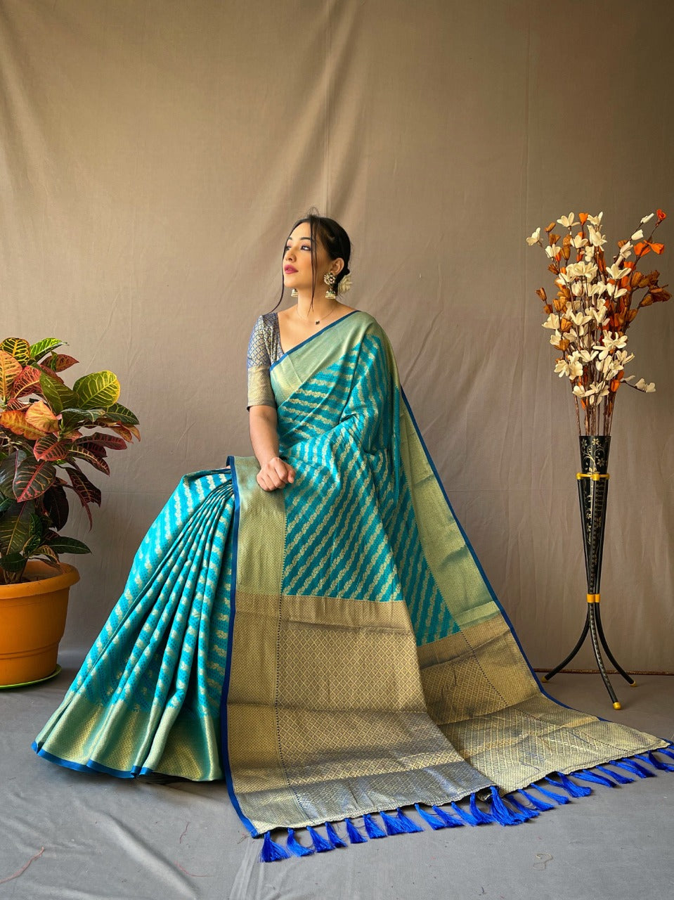 Banarasi Silk Saree